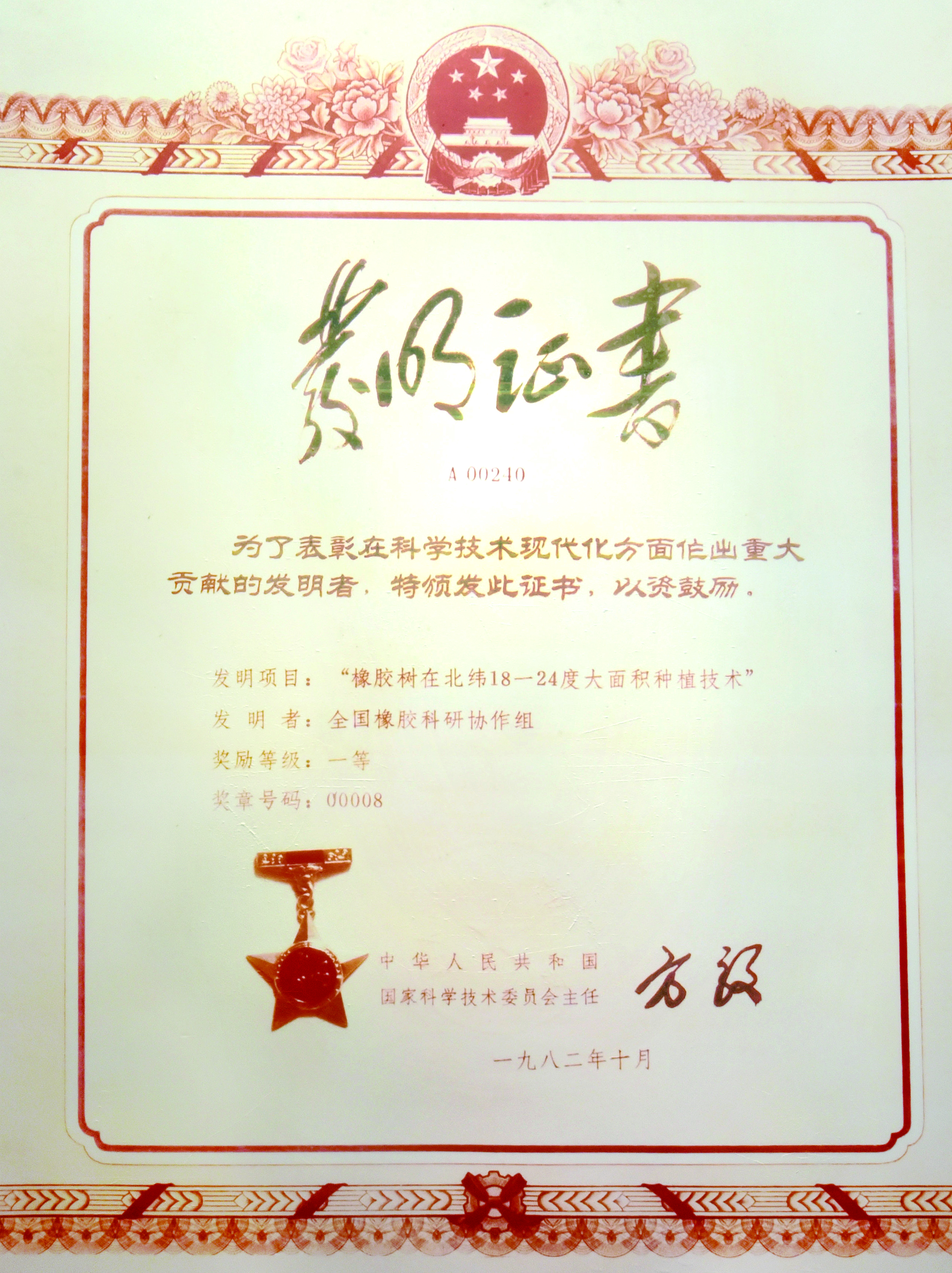 国家发明一等奖 “开云电子树在北纬18—24度大面积莳植手艺”