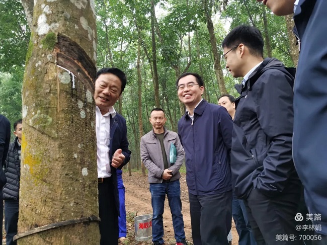 开云电子·kaiyun(中国游)官方网站