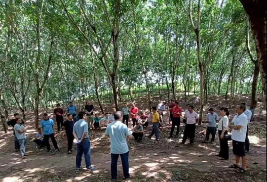 开云电子·kaiyun(中国游)官方网站