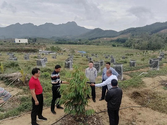 开云电子·kaiyun(中国游)官方网站