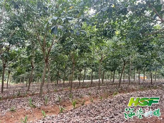 开云电子·kaiyun(中国游)官方网站