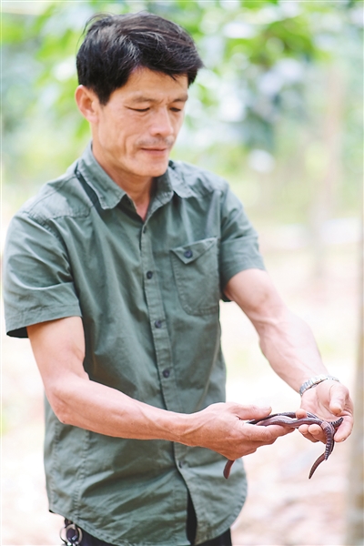 开云电子·kaiyun(中国游)官方网站