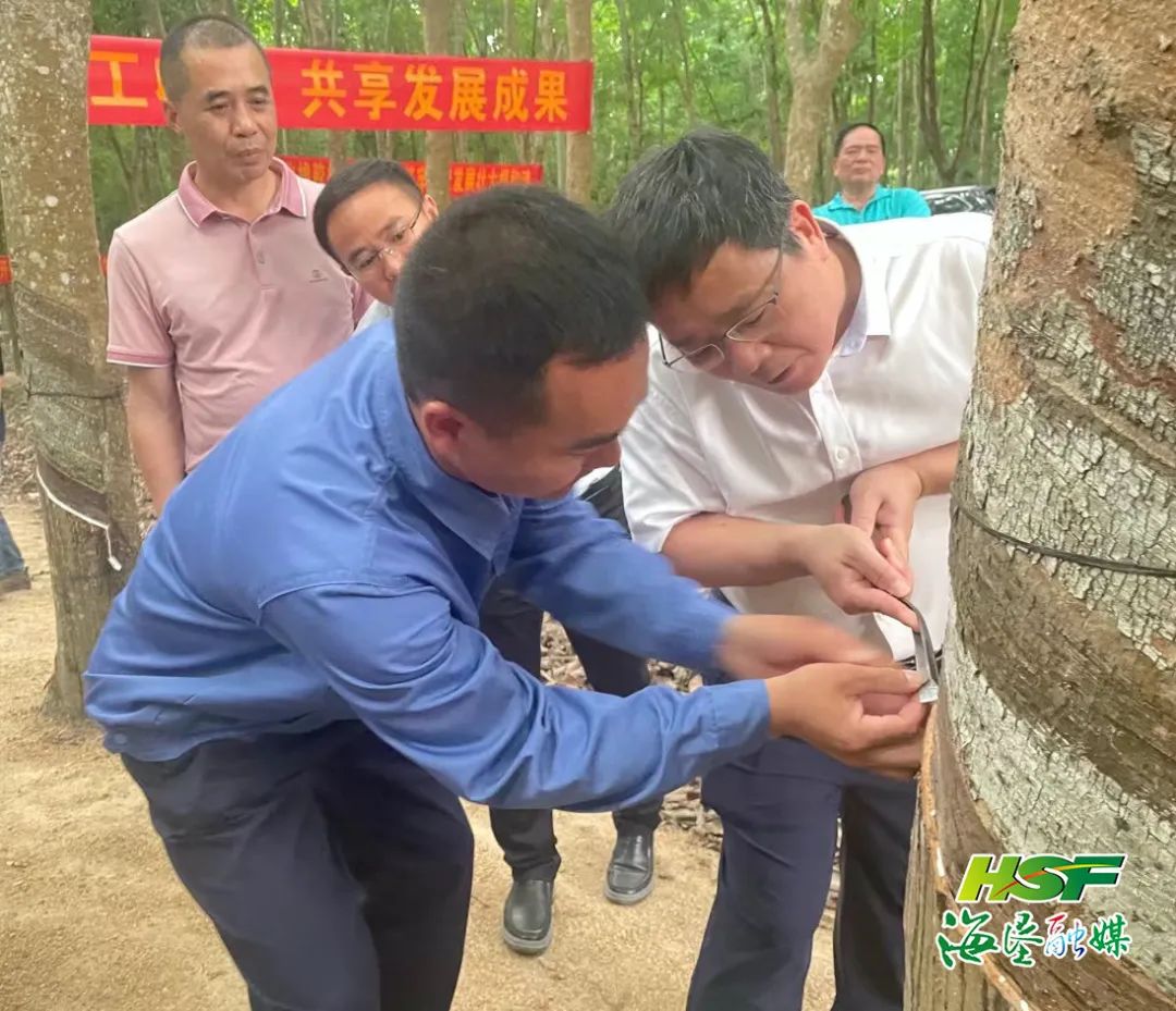 开云电子·kaiyun(中国游)官方网站