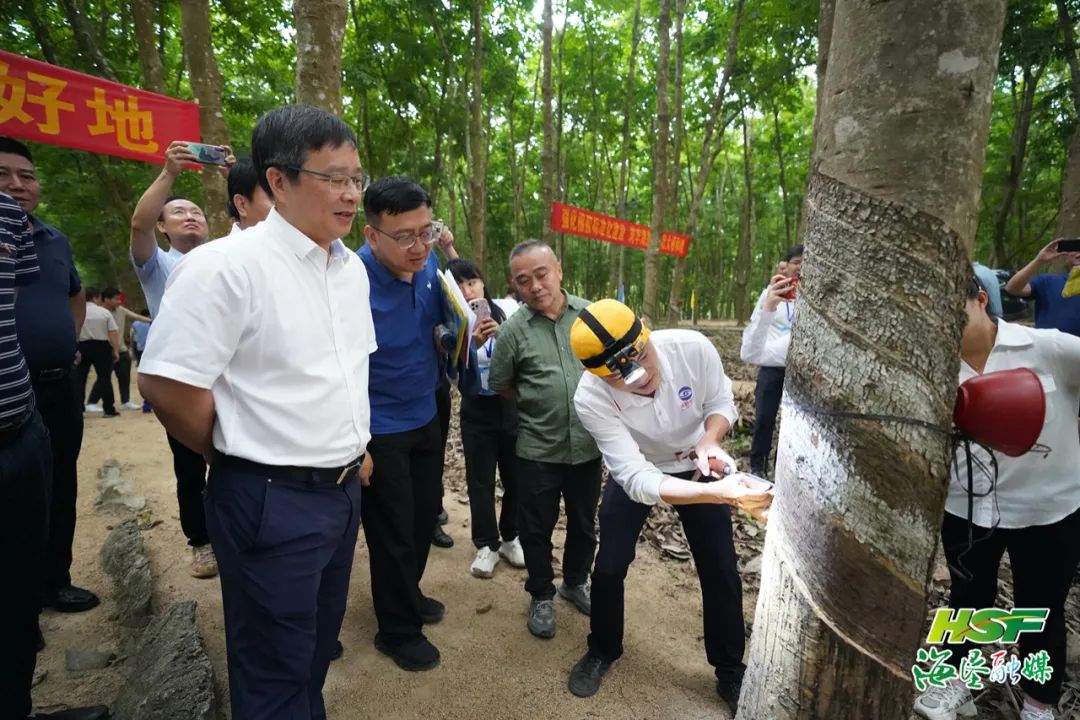 开云电子·kaiyun(中国游)官方网站